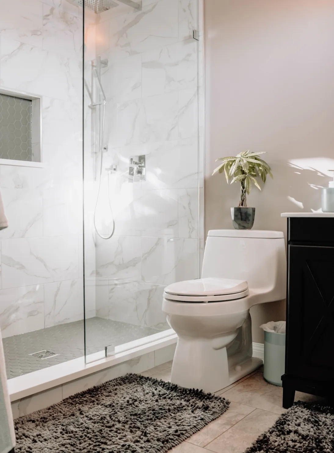 Aging in place Accessibility